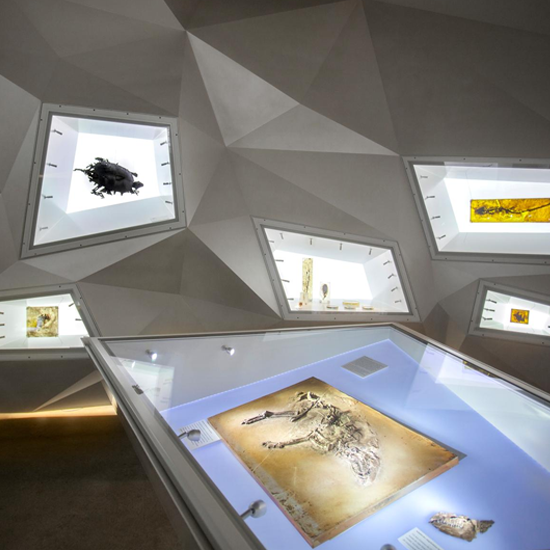 Grube Messel Teaserbild Startseite