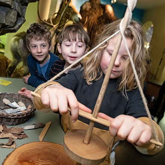 Naturkundemuseum Kassel Teaserbild Startseite