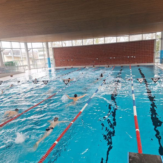 Schwimm-Club Wiesbaden Teaserbild Startseite