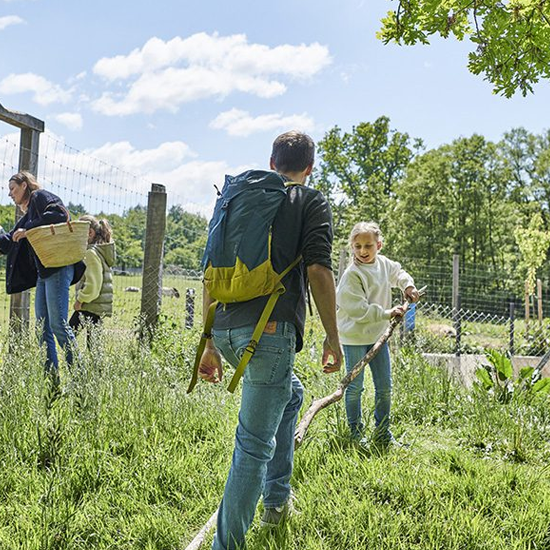 Wandern und Radfahren in Hessen Teaserbild Startseite